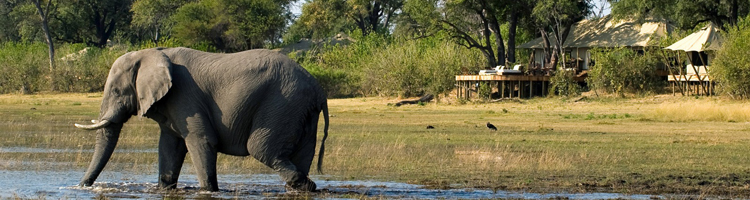 Vakantiemogelijkheden Botswana