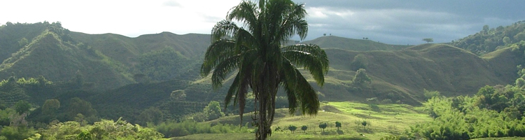 Vakantiemogelijkheden Colombia