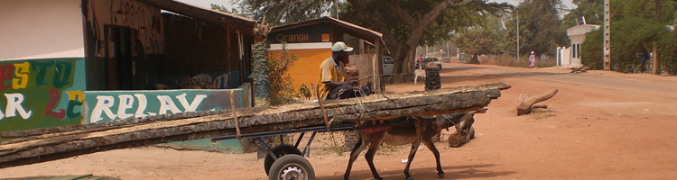 Vakantiemogelijkheden Gambia