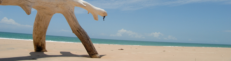Vakantiemogelijkheden Mozambique