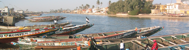 Vakantiemogelijkheden Senegal