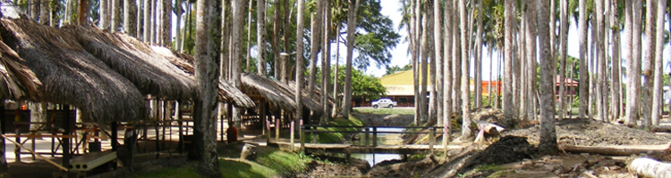 Vakantiemogelijkheden Suriname