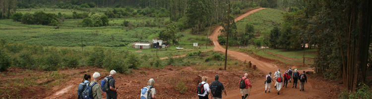 Vakantiemogelijkheden Swaziland